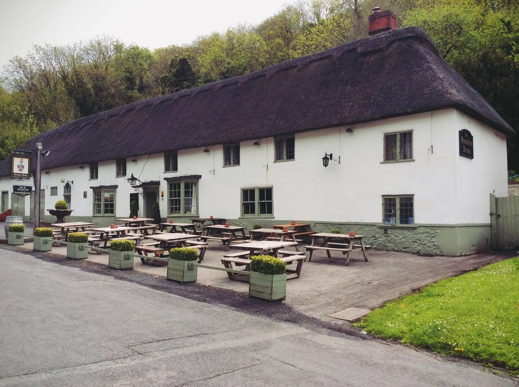 Готель Hambro Arms Milton Abbas Екстер'єр фото