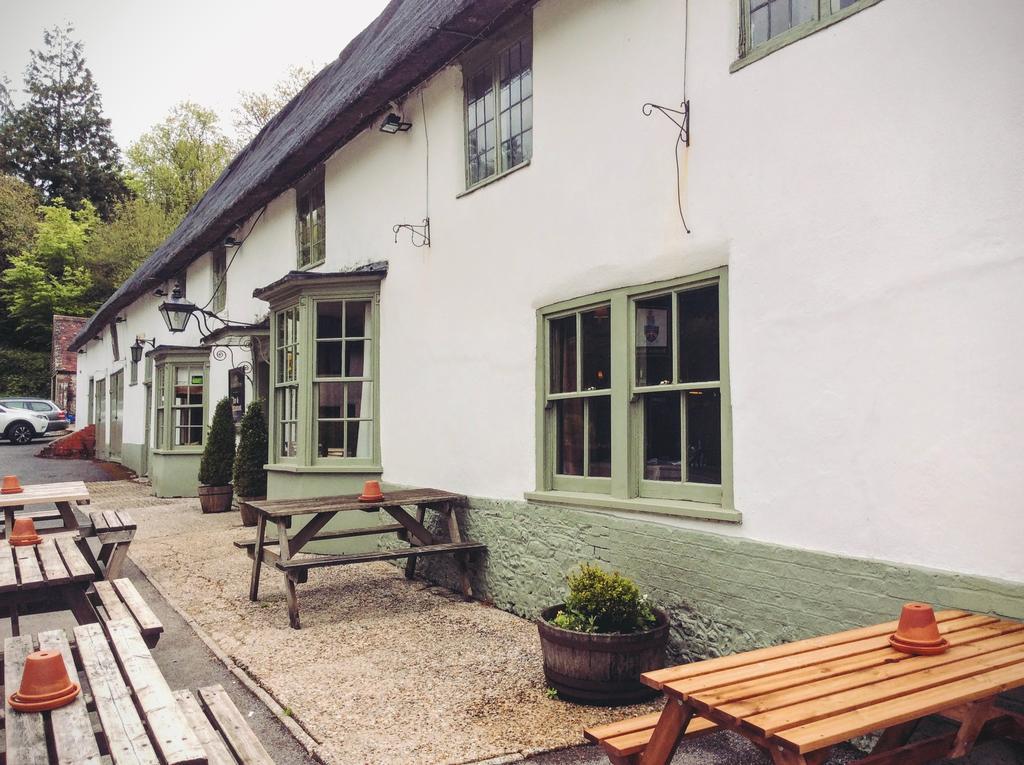 Готель Hambro Arms Milton Abbas Екстер'єр фото