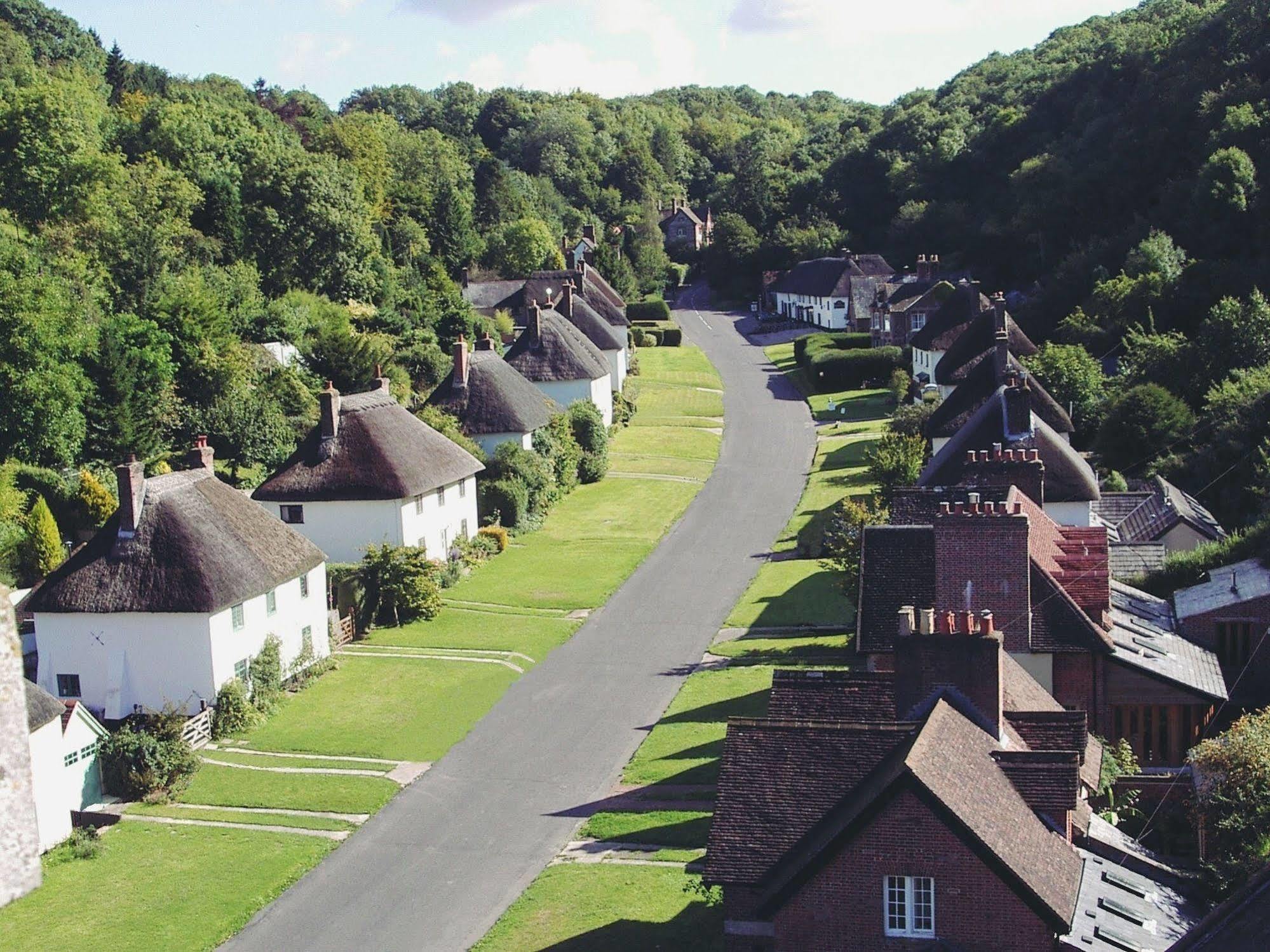 Готель Hambro Arms Milton Abbas Екстер'єр фото