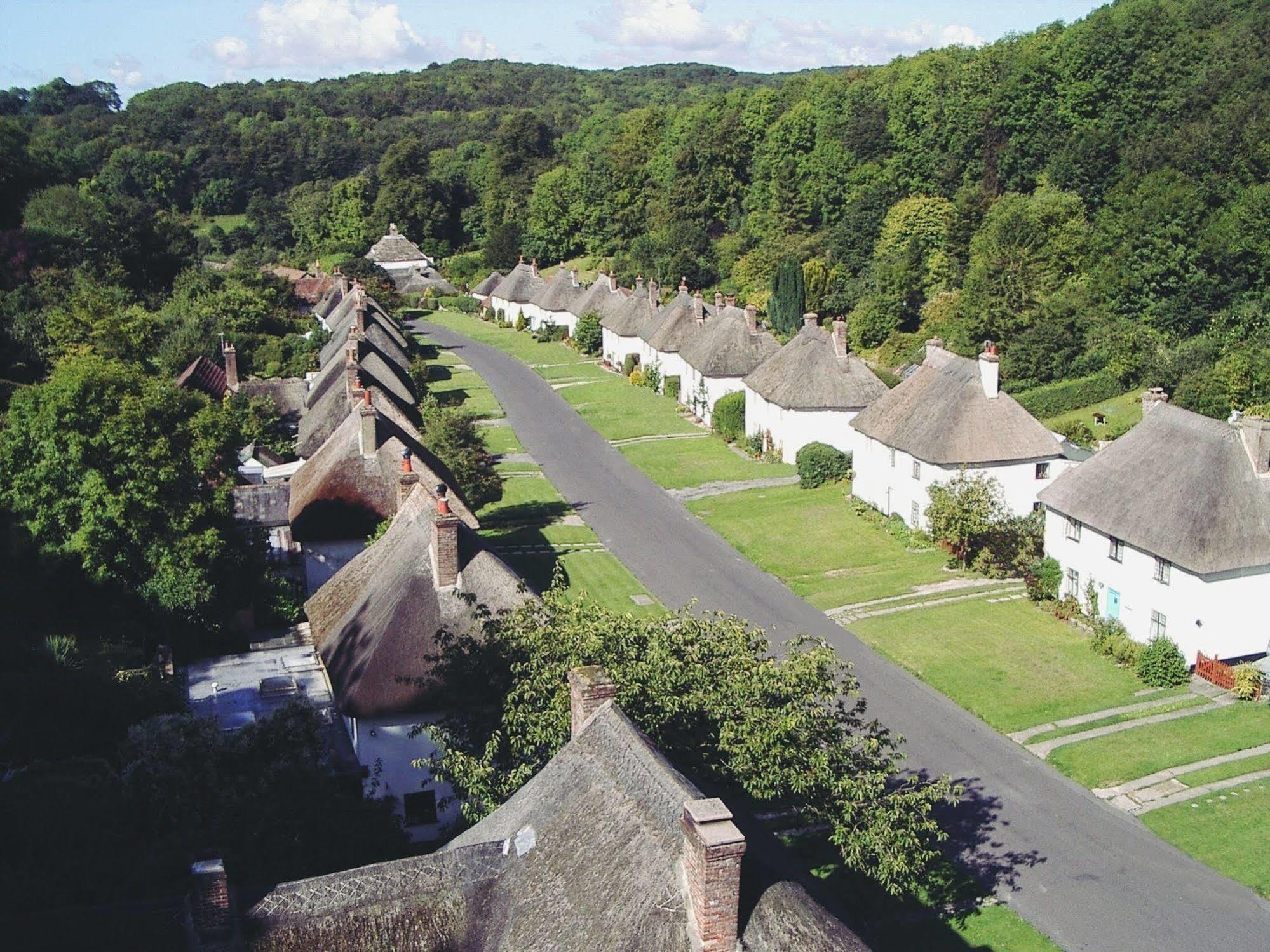 Готель Hambro Arms Milton Abbas Екстер'єр фото